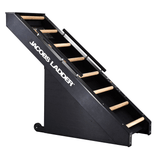 Jacobs Ladder - Ladder